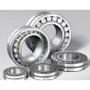 NUP 317 ECP/ M Open Single-Row Cylindrical Roller Bearing 85*180*41mm